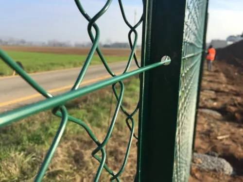 Fenceshop.eu Filo tensione plastificato verde 2,8 mm 100 m acciaioso