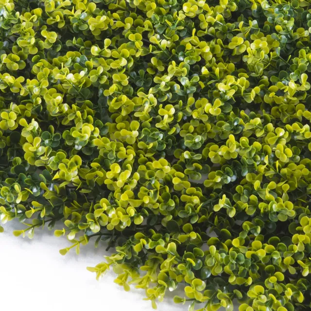 TENAX Divy Panel Buxus siepe artificiale 100x100 cm bosso