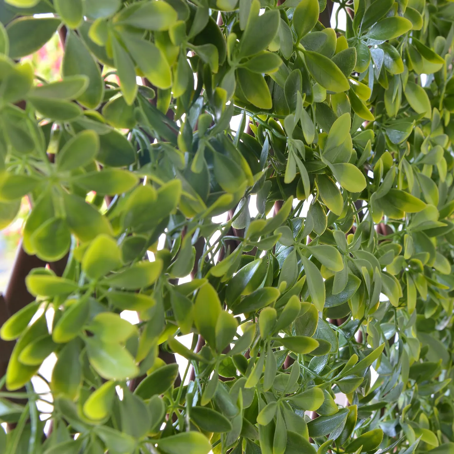 Tenax Divy Trellis Pitosforo Traliccio Estensibile Verde 100x200 cm