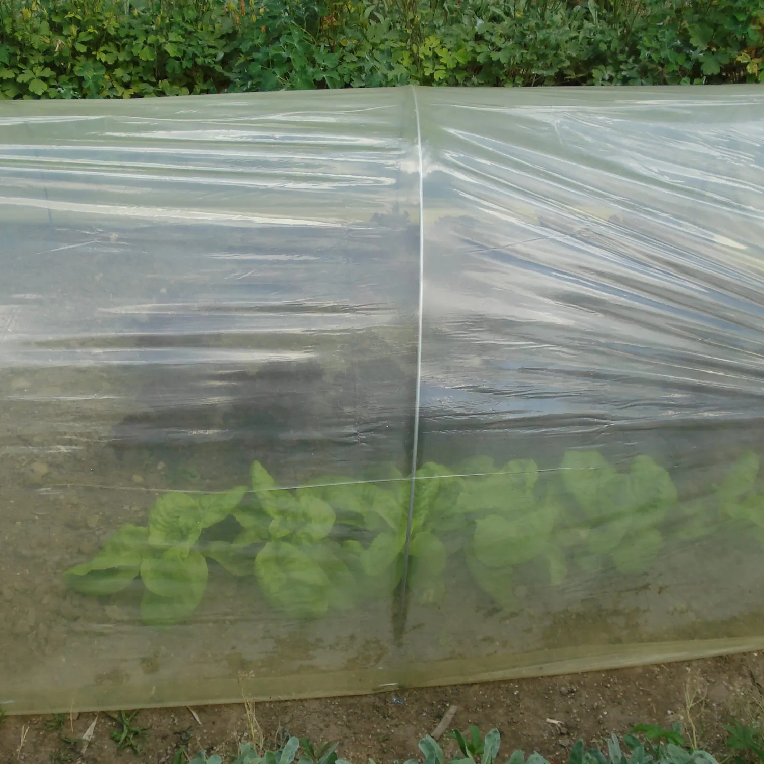 TENAX Sun Film Film Protettivo Giallo 2x10 m 70 Micron