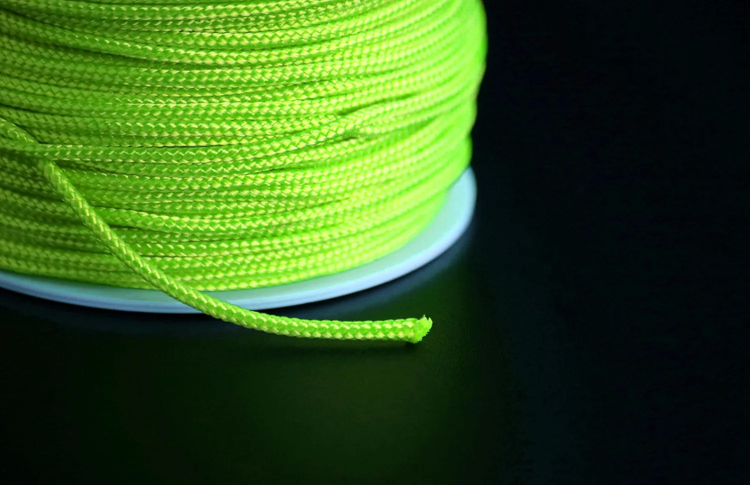 Fenceshop Lignola Nylon 1,5 mm Rocchetto 50 m Tracciatura