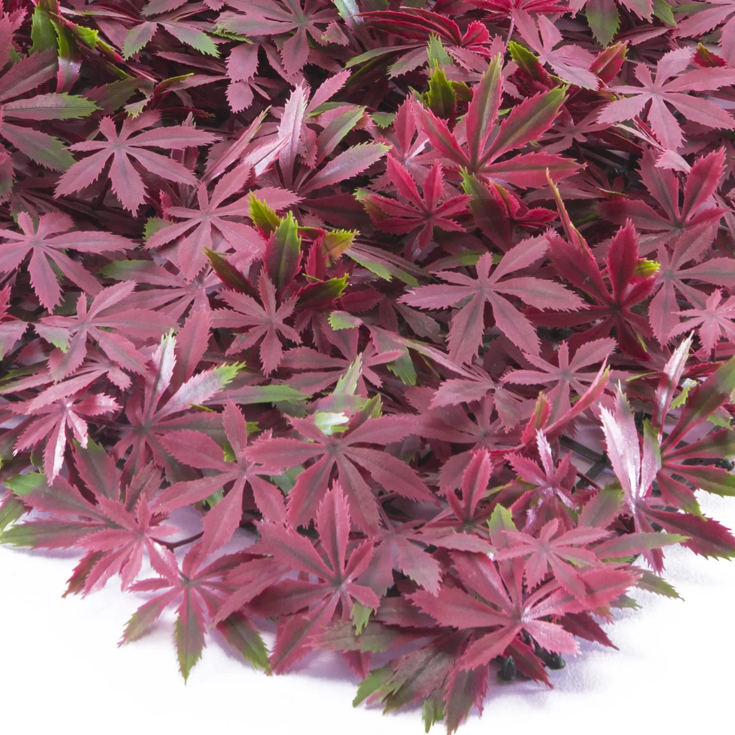 TENAX Divy Panel Arce pannello siepe artificiale acero rosso 0,5x0,5 m