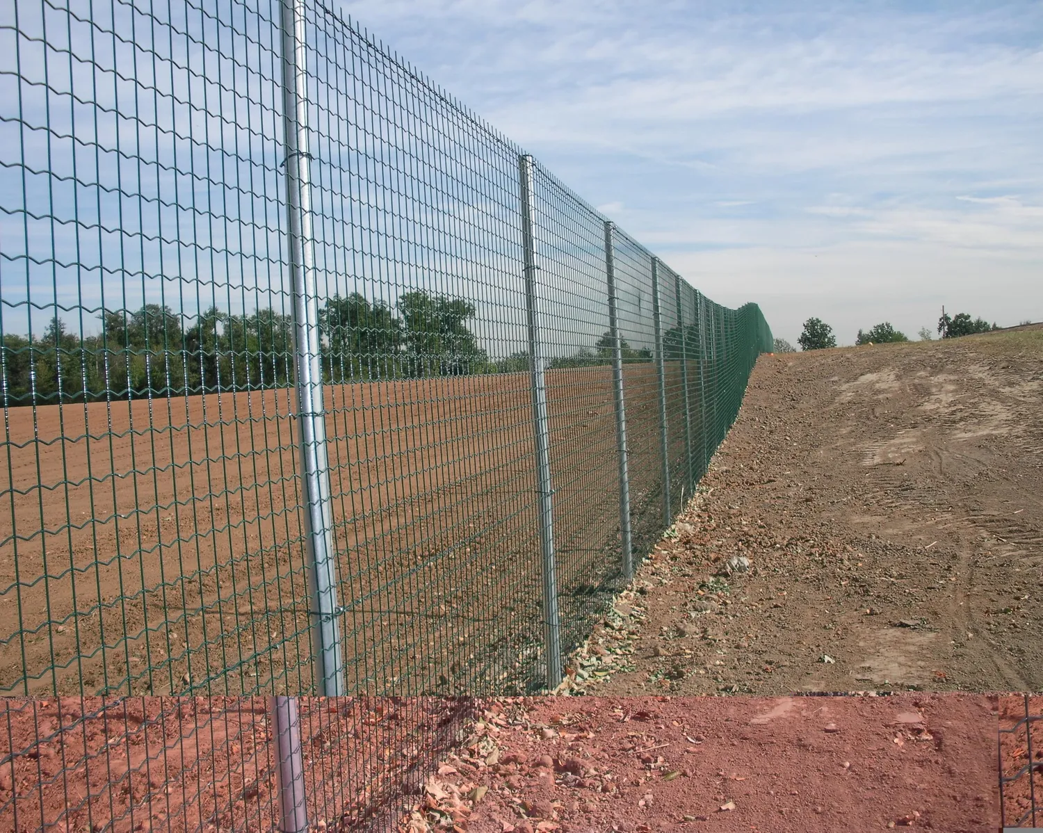 Fenceshop Rete elettrosaldata verde 50x50 mm al metro