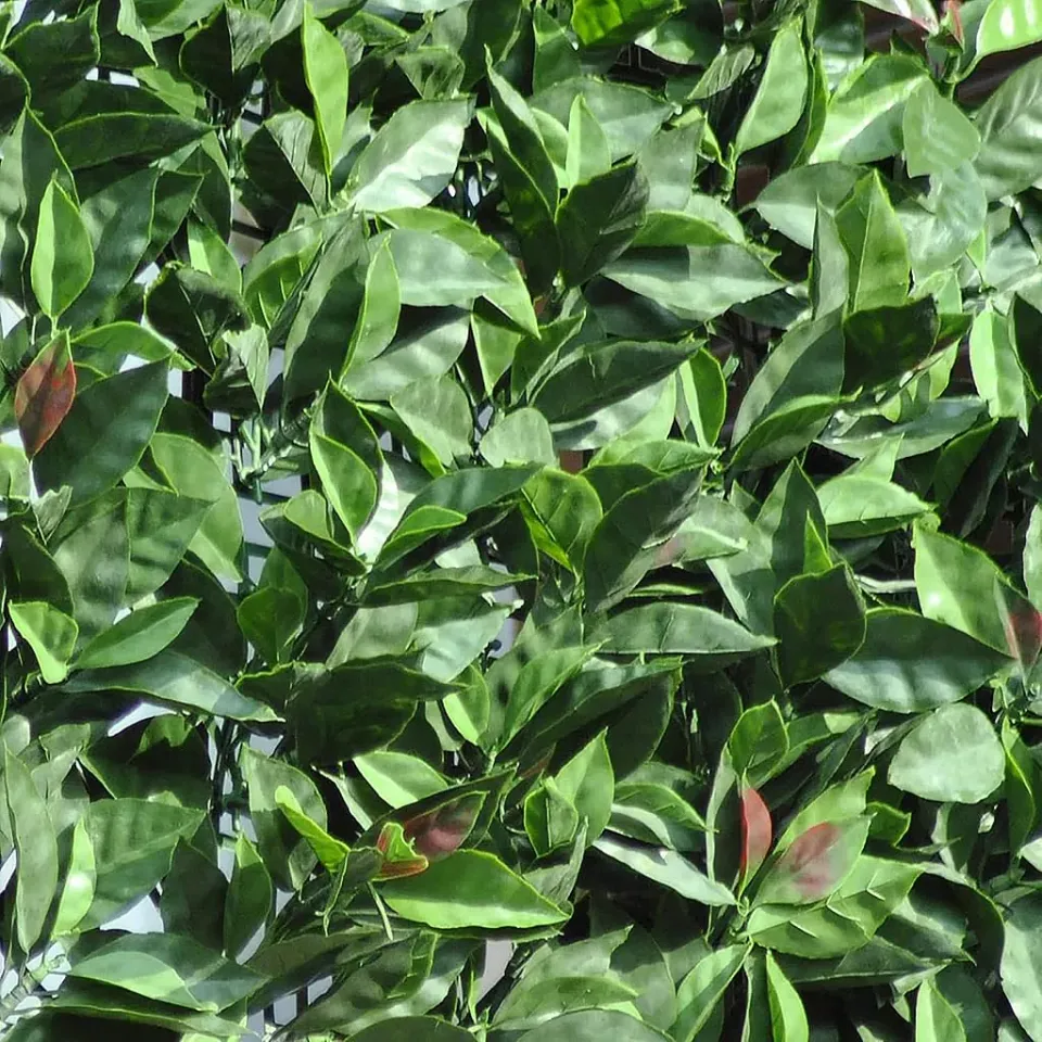 Fenceshop siepe sintetica photinia rotolo 3 m H 150 cm