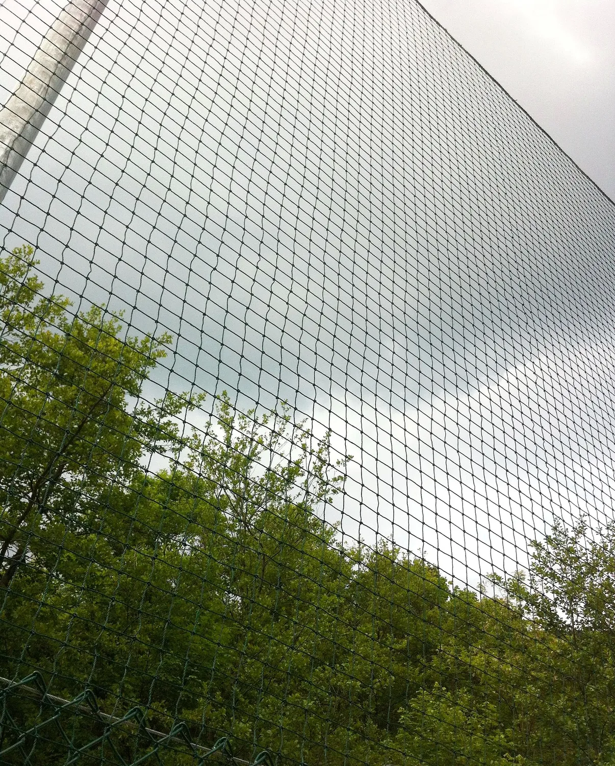 Fenceshop.eu Rete fermapalline tennis 45x45 mm verde polietilene