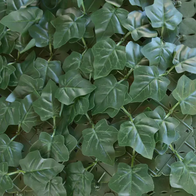 Tenax Divy Hedera Plus Siepe Sintetica Edera Verde 100x300 cm