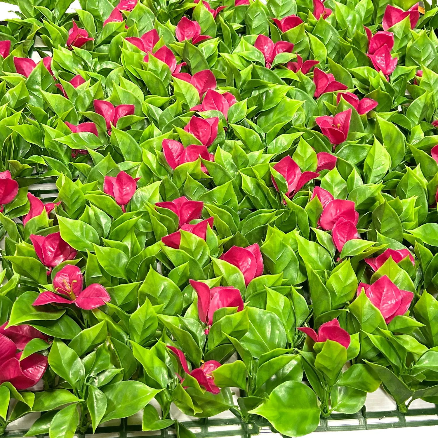TENAX Divy Panel Bouganville siepe 100x100 cm fiori fucsia
