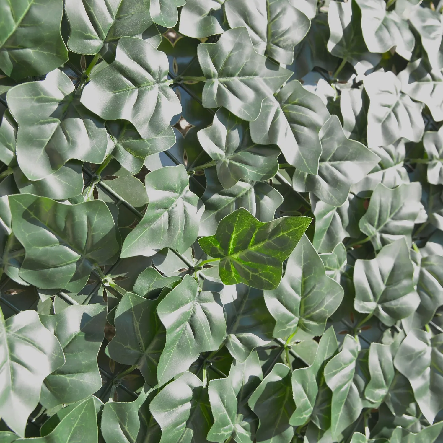 Tenax Divy Hedera Plus Siepe Sintetica Edera Verde 100x300 cm