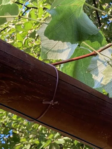 Fenceshop.eu Tubetto legatura piante in PVC