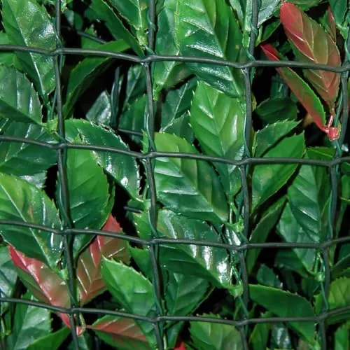 Fenceshop siepe sintetica photinia rotolo 3 m H 150 cm