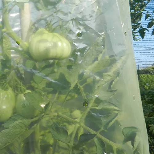 TENAX Mr.Tomato Film Tubolare per Pomodori 0,60x10 m Giallo