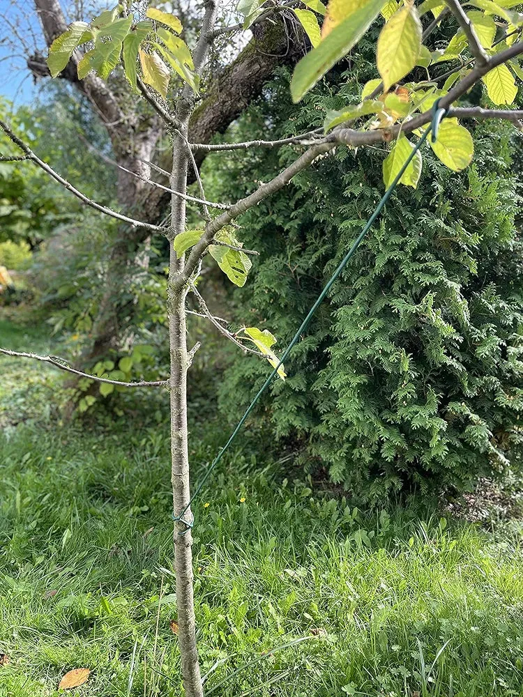 Gardenix Tubo Legatura Piante Cavo Cavo