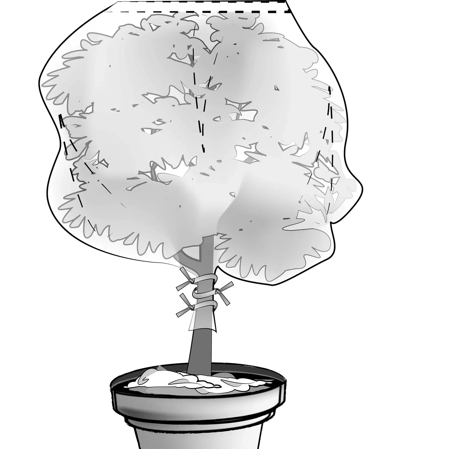 TENAX Saccoclima cappuccio antigelo per piante