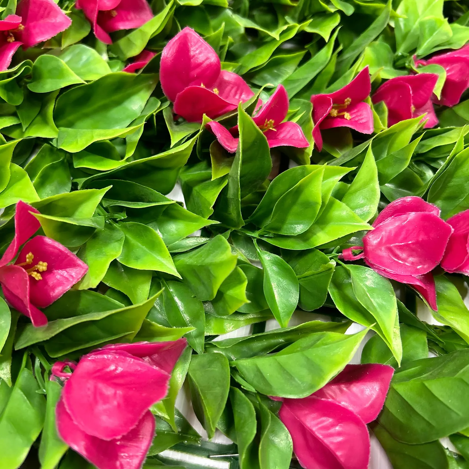 TENAX Divy Panel Bouganville siepe 100x100 cm fiori fucsia