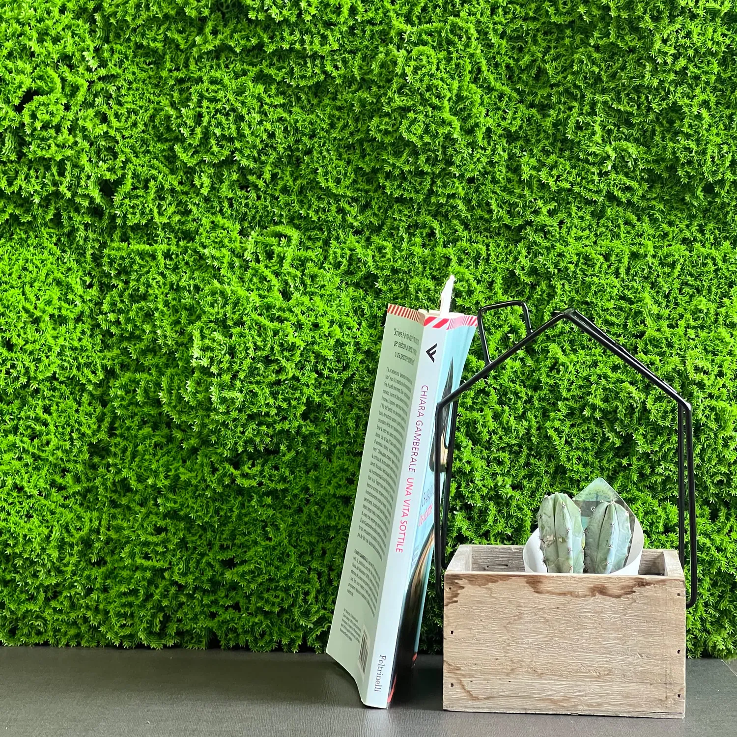TENAX Divy 3D Muscus pannello siepe artificiale muschio 1x1 m verde