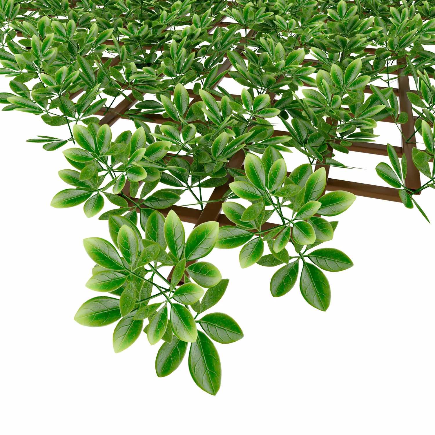 Tenax Divy Trellis Pitosforo Traliccio Estensibile Verde 100x200 cm