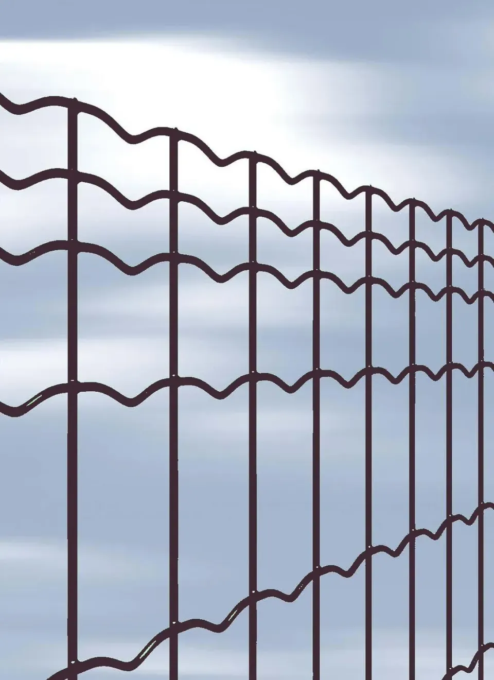 Fenceshop.eu Rete Elettrosaldata Antracite 50x100 mm Rotolo 25 m