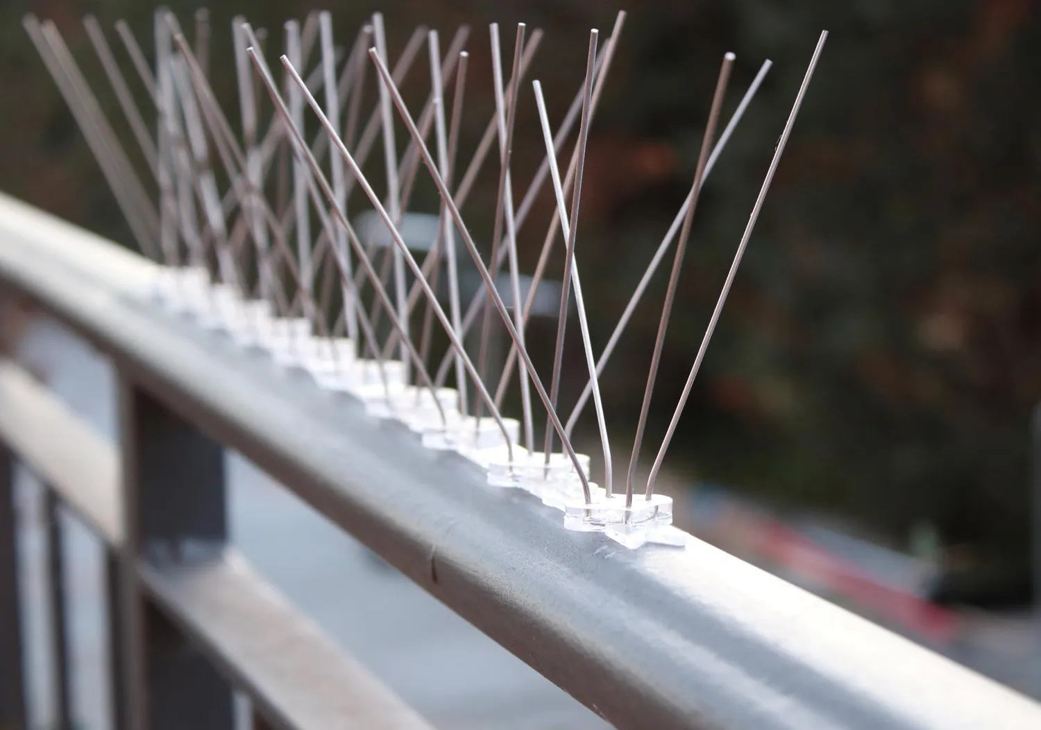 Fenceshop.eu Dissuasore piccioni con punte inox 50 cm
