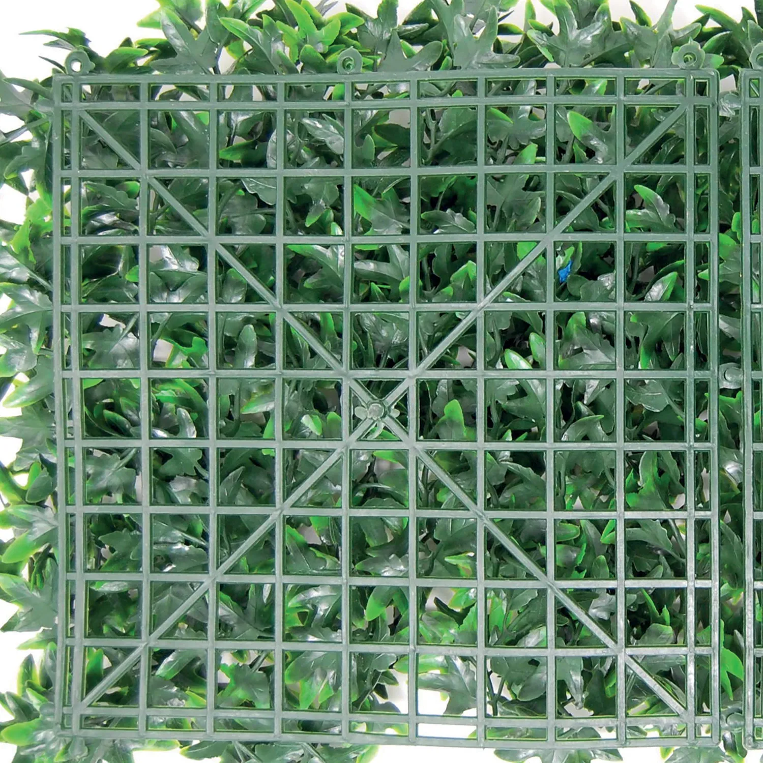 Tenax Divy Panel siepe artificiale 50x100 cm