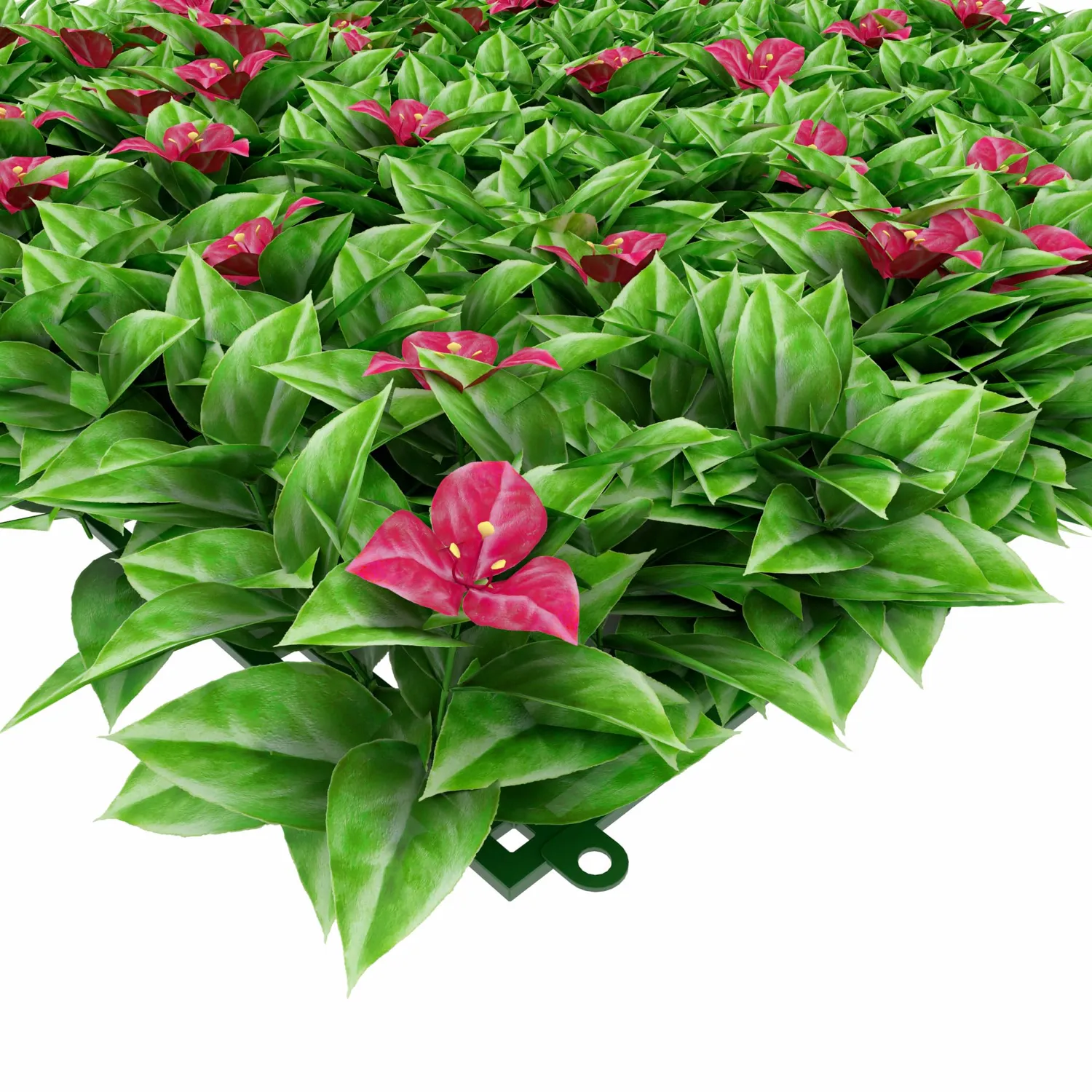 TENAX Divy Panel Bouganville siepe 100x100 cm fiori fucsia