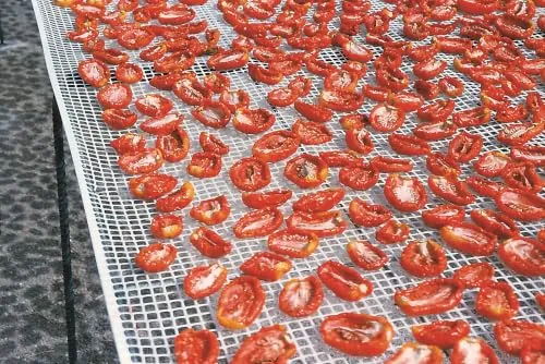 Fenceshop Rete Essiccazione Alimentare HDPE 10x10 mm Rotolo 50 m