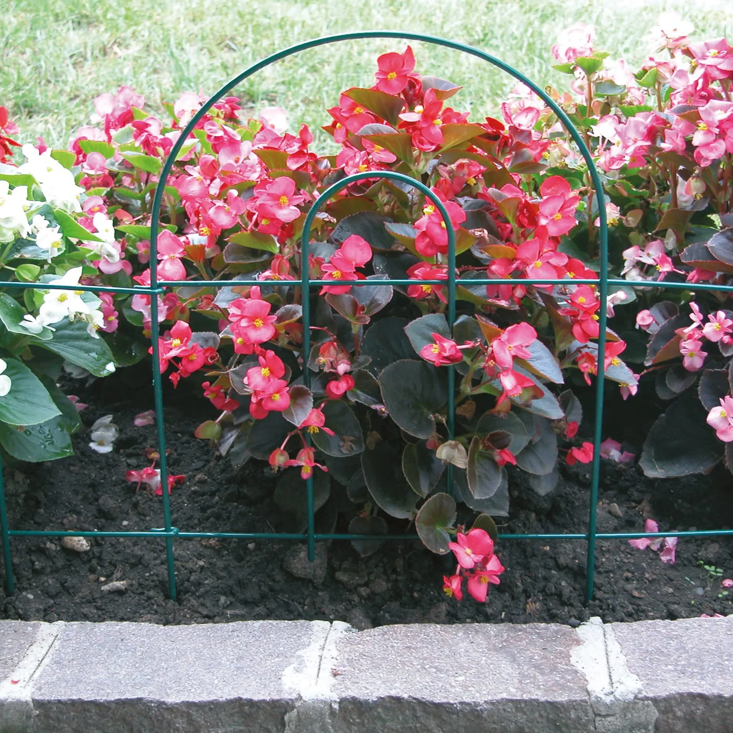 TENAX Arcodeco Bordura da Giardino 2,5 m h 46 cm Acciaio