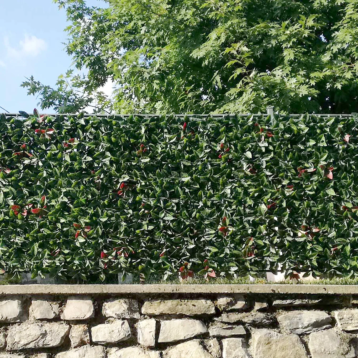 TENAX Divy 3D Plus Photinia siepe sintetica
