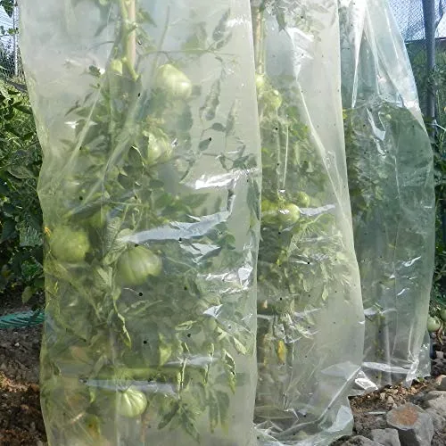 TENAX Mr.Tomato Film Tubolare per Pomodori 0,60x10 m Giallo