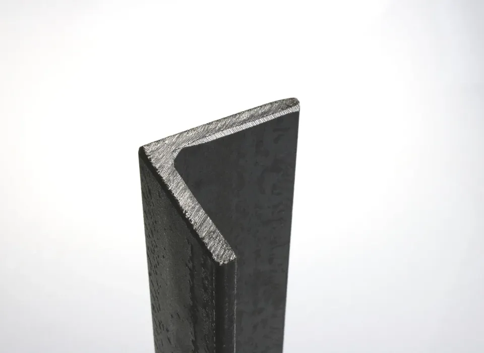 Fenceshop.eu Profilo a L 40x20 mm Ferro Grezzo Sp. 4 mm