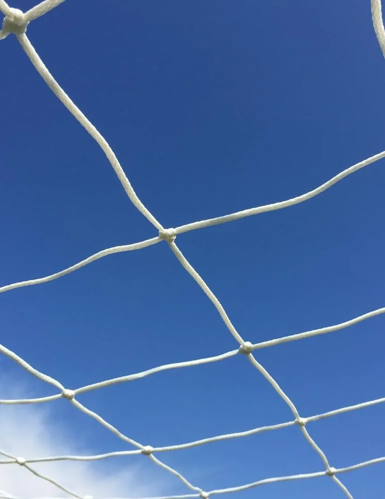 Fenceshop Coppia Reti Calcio 750x250 cm Filo 5,5 mm Bianche Professionali