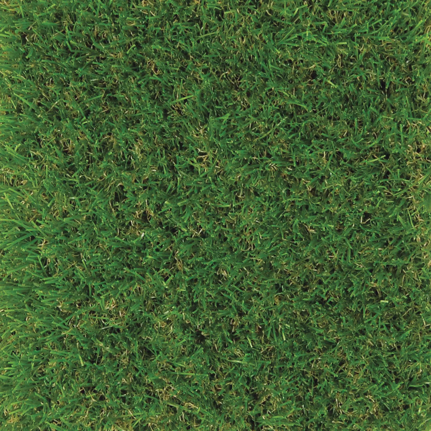 Tenax English Mat Premium prato sintetico verde 2x5 m 42 mm