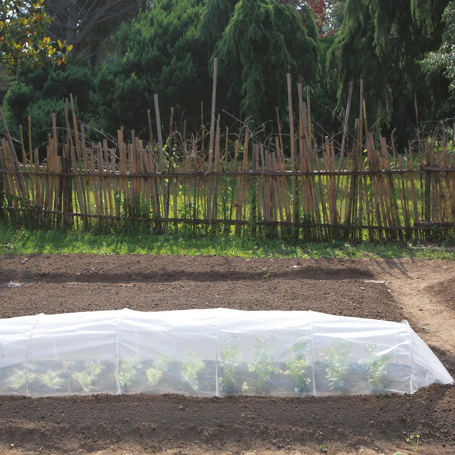 Tenax Early Tunnel mini serra orto 0,60x0,45x3 m