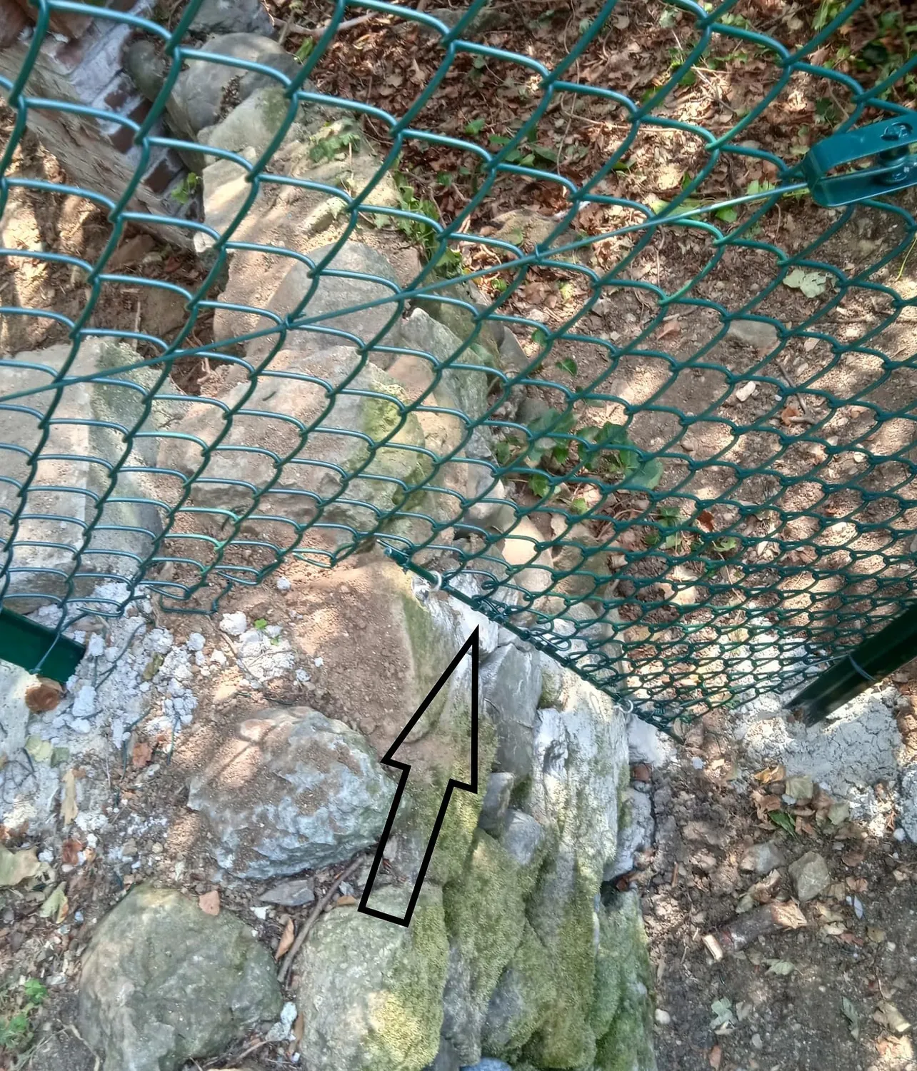 Fenceshop.eu Tondino Acciaio Fissaggio Rete a Muro