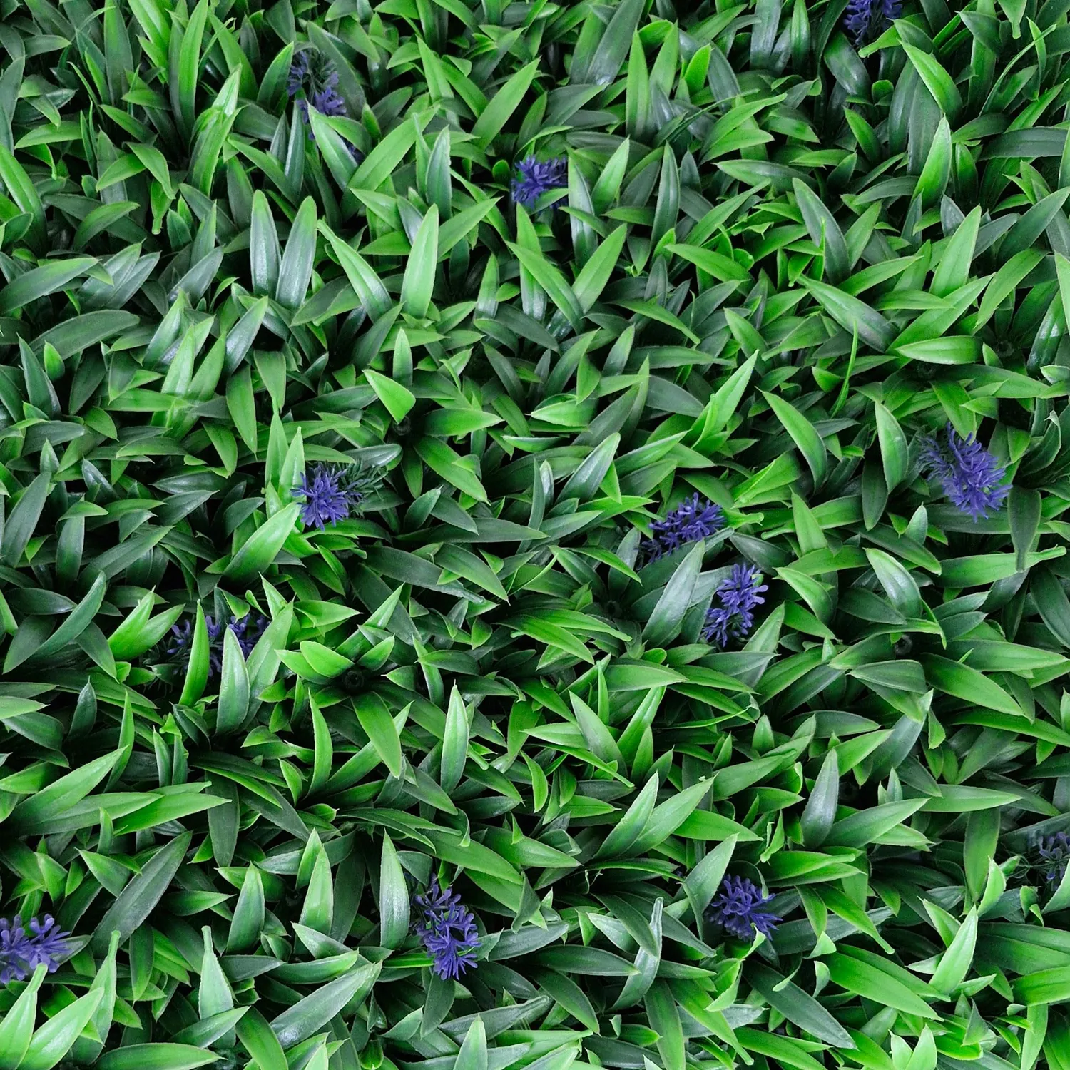 TENAX Divy Panel Liriope siepe artificiale 100x100 cm