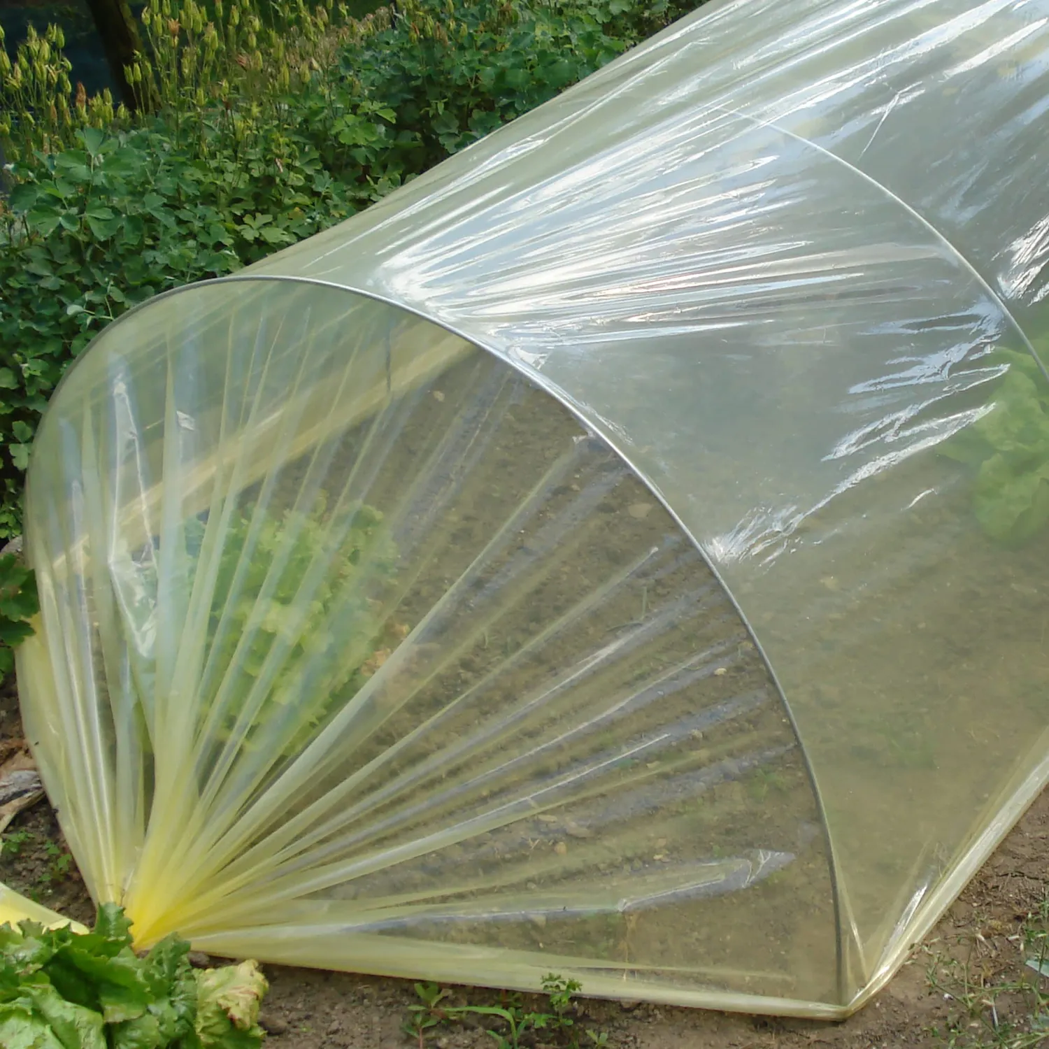 TENAX Sun Film Film Protettivo Giallo 2x10 m 70 Micron